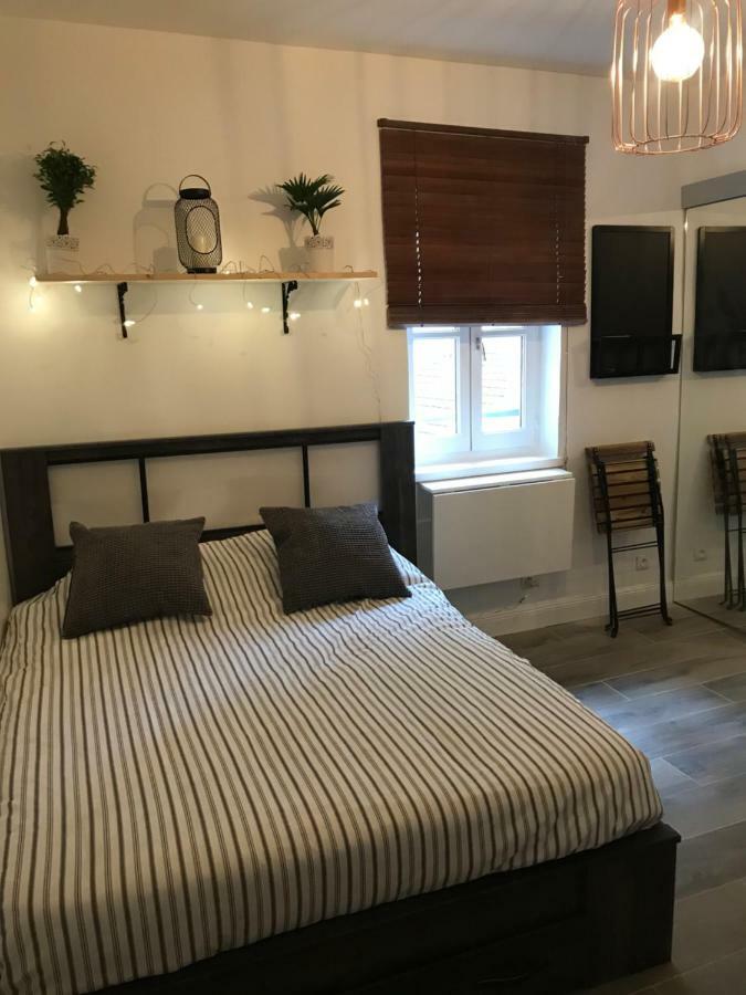 Studio Au Coeur De Lyon Apartment ภายนอก รูปภาพ